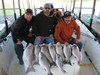 (04/07/2017) - Nice Striped Bass